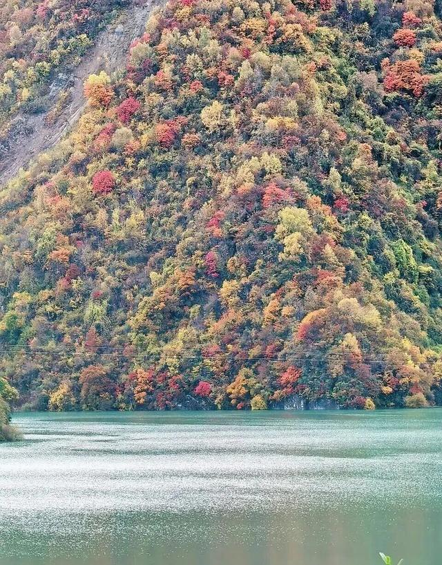 【美丽四川】平武天母湖，邂逅一场彩林与碧水的秋日盛宴‖柳红樱
