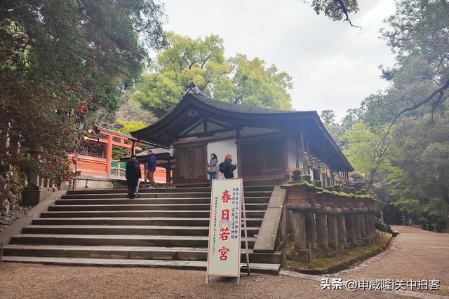 日本奈良：走进春日大社