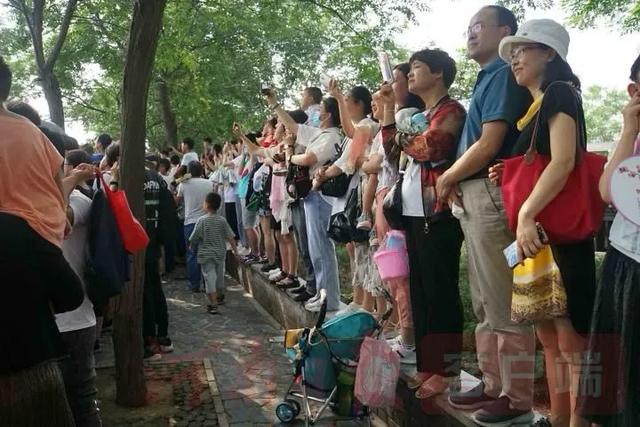 再堵的路也挡不住出游的心