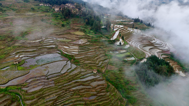 【外眼看云南】被元阳梯田“治愈”的五位国际博主，找到“慢生活”的答案