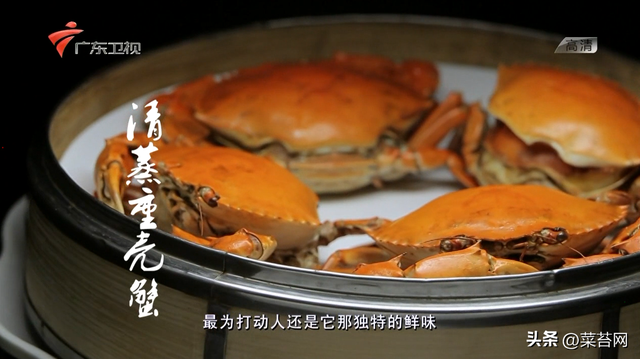 老广的味道 鱼肚花胶是哪期 老广的味道第五季鱼露