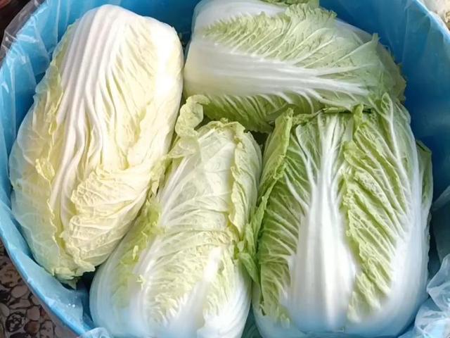 东北腌酸菜的详细做法，一口下去嘎嘣脆！暖心暖胃超简单