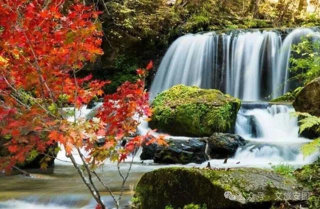 【“双线”开通 畅游安图】东北隐藏的“枫景天花板”，漫山层林染金红，国庆自驾首选地！