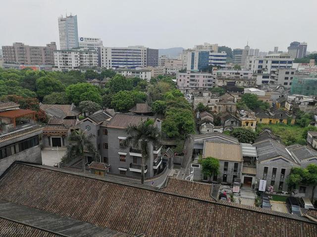 南方之旅第二站，顺德游记，看过也许有所借鉴