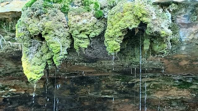 陇上行(二十二)崇信县龙泉寺,意外惊喜的小众景点!(8月3日)