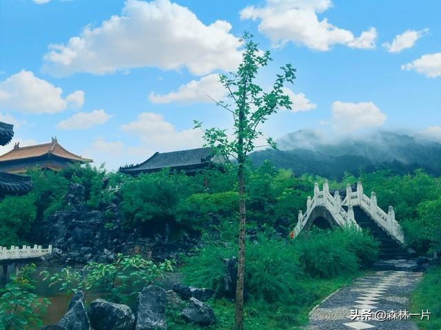 两性关系：女人多大岁数就不想男人了，过来人告诉你实情