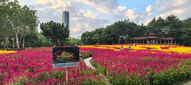 至10月8日！大型夜游灯会、花海市集博饼……就在厦门→
