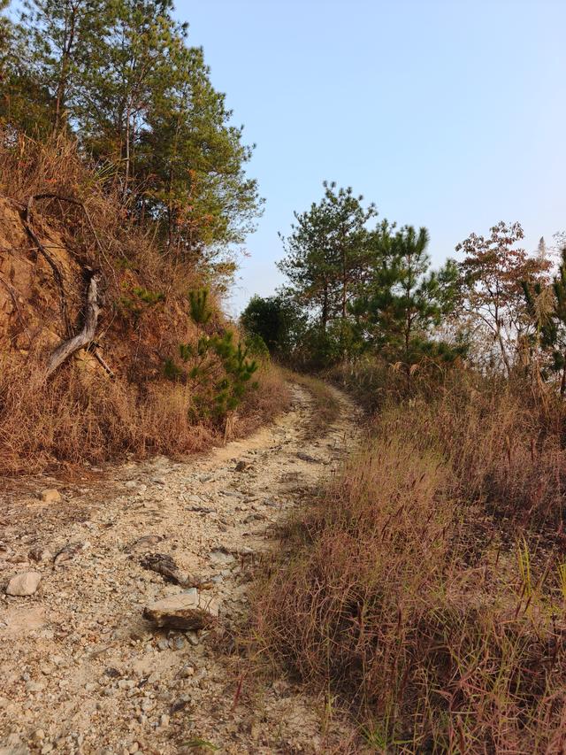 梅城西郊发现俯瞰梅城的最佳景点，一眼可见皇家名典金沙湾千佛塔
