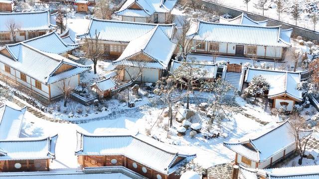 雪漫边境！龙井的冬日藏着冰与暖的双重浪漫