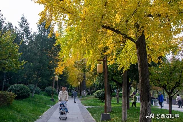漫步在秋韵浓郁的环城公园（美图）