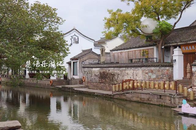 浙江宁波少有的水乡古镇，银杏大道与银杏林太美了，错过再等一年