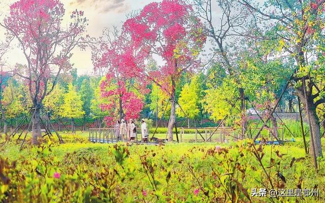 咔嚓🤳！抓住鄂州秋天的“小尾巴”~