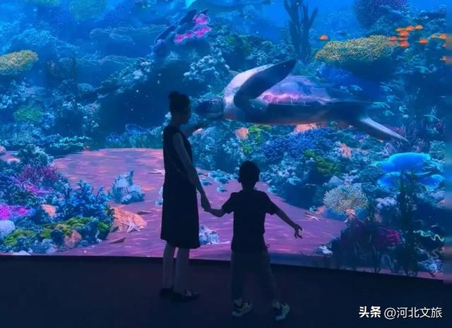 漫游唐山 | 曹妃甸城市馆打卡攻略