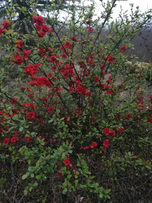 《人到中年，别再为别人而活，学会爱自己才是人生的必修课》