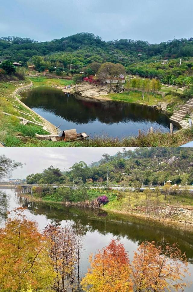 厦门东山社，城市中的宁静之地，厦门版世外桃源，藏于岛内深山中