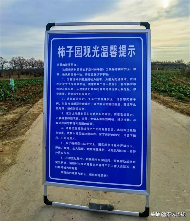 彬州市：多举措提升罗店村柿林观赏地游客满意度