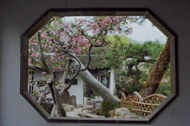 我是香港人，刚从无锡回，实在忍不住想说：无锡给我五点印象