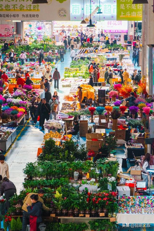 满屏治愈！这个冬日，你一定要去趟斗南花市，邂逅一场流动的彩色盛宴~