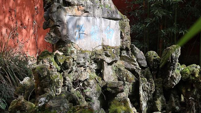 明代白龙寺，徐霞客到此一游，百年茶花，白龙盘锯而成潭