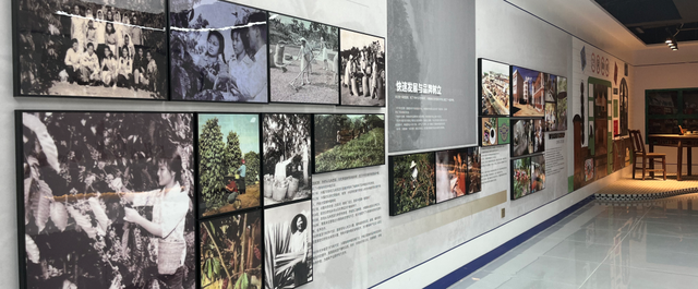 春节游万宁兴隆｜解锁热带归侨的暖冬年味！