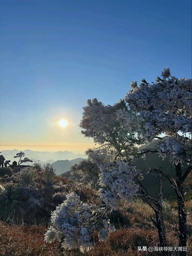 最低-4.8℃！莆田绝美雾凇来了！