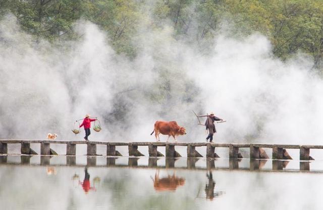 这个浙江5A景太难了，本来好心赚口碑，谁知吐槽太大，恢复一票制