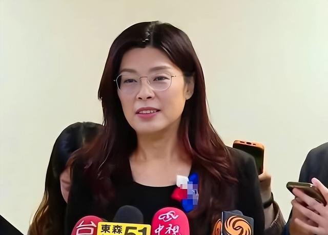 大陆话音刚落，郑丽文下挑战书	，民进党连抓13人，沈富雄一针见血