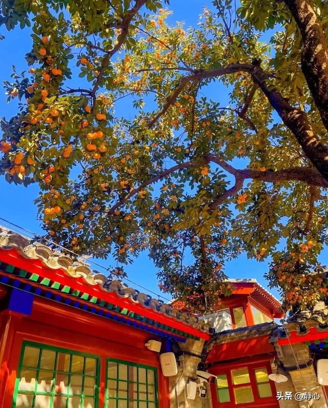 传统文化“破圈”：从画卷到街巷的消费新活力