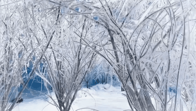 悦观察 | 三层逻辑拆解！吉林如何把22℃玩成今夏“顶流”