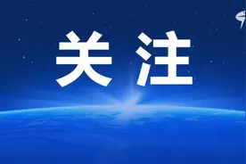 光谷幼升小，3月13日起报名！政策问答+操作指南在此图片