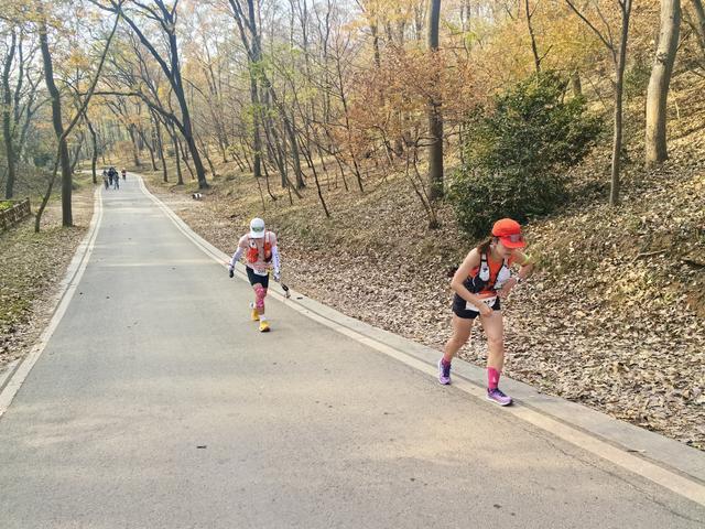 南京老山郊野一日徒步，从狮子岭兜率寺到汤泉惠济寺