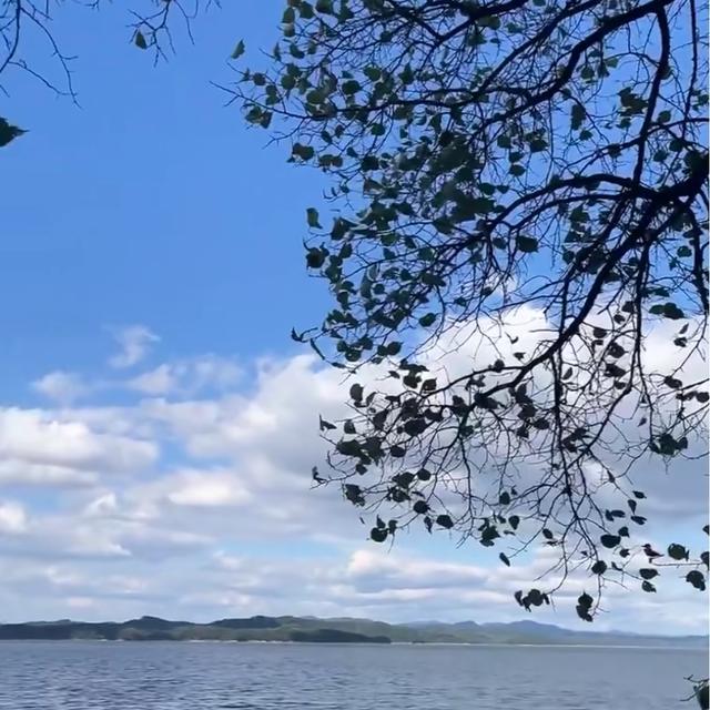 我是上海人，去萨尔许草原踩脏小白鞋，看星星尝手抓羊肉很新鲜