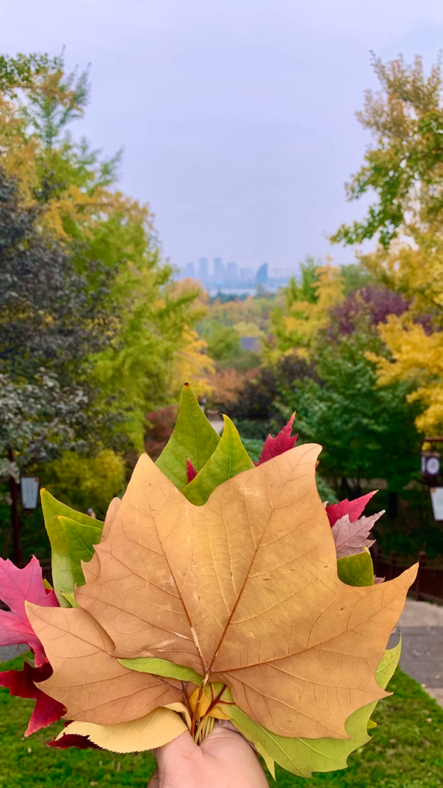 此刻的临沂，把清欢藏进风景里