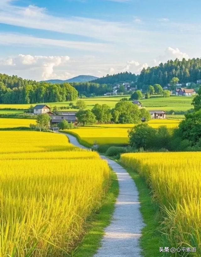 两性关系：55-65岁这十年	，惜命的方式，不是锻炼，是做好这6点