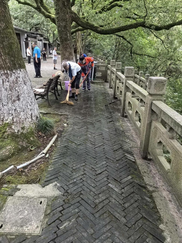 公园路面长青苔致游客滑倒，除“癣”有啥好办法？