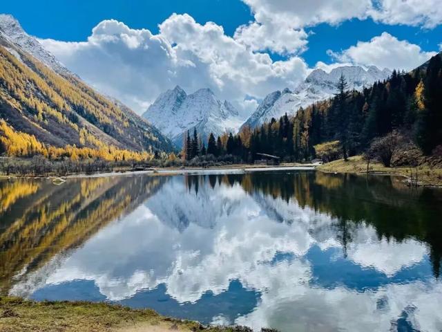 接下来，小金是这样的~