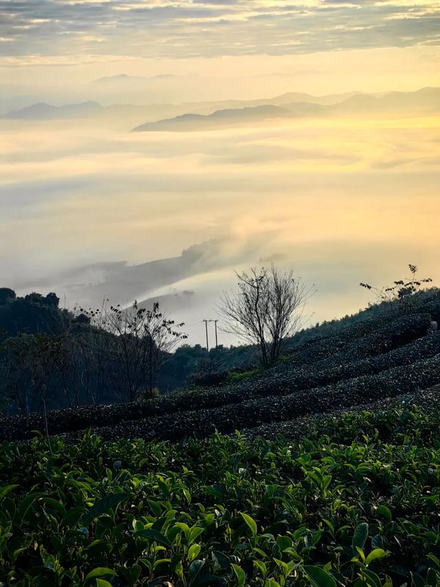 避寒旅居首选！这9座城均温20℃起，人少便宜，好吃好玩，推荐！