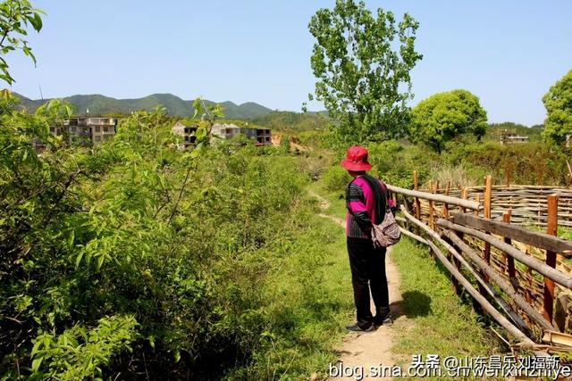 我的乐安流坑古村“寻古”之旅[八]（江西之旅第七十八篇）