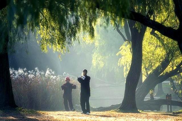 杨式太极拳动作要领：内劲导引方式以及打击——除此与太极拳无关