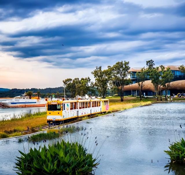 游在鹰潭｜学生搭子团秋季攻略！轻松玩转4大宝藏地「全球学子嘉游赣 奇绝鹰潭逍遥游」