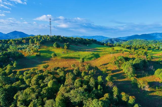 立冬后这些冷门小城竟比三亚还暖？