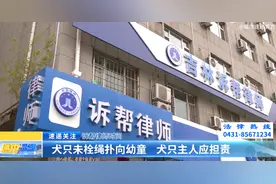 诉帮律师时间：犬只未牵绳扑向幼童 犬只主人应担责图片