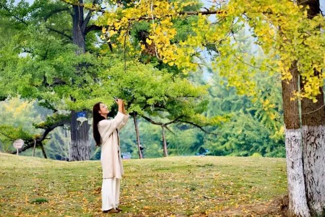 秋天的陇南，有什么好看的？