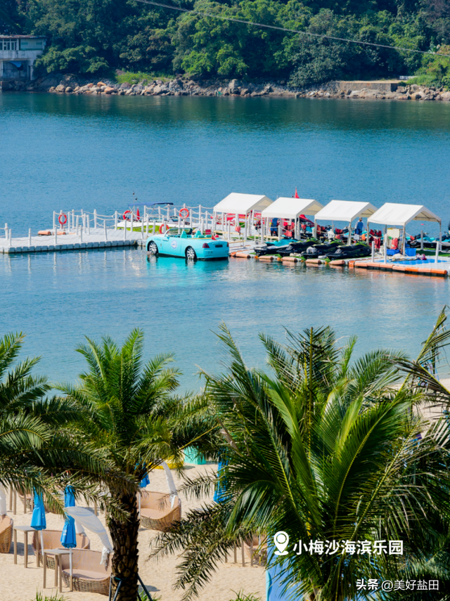 @永州朋友！小梅沙请你免费玩一整年！