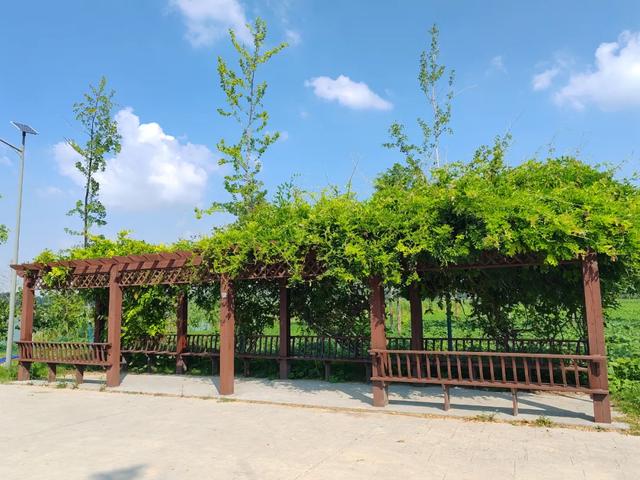 @明光人，五彩斑斓！绝美天空！我的家！