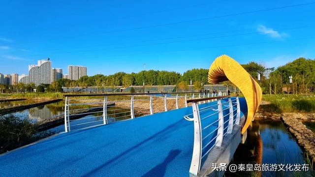 实拍！秦皇岛家门口的免费好去处，这个百亩湿地公园晚上也能逛~