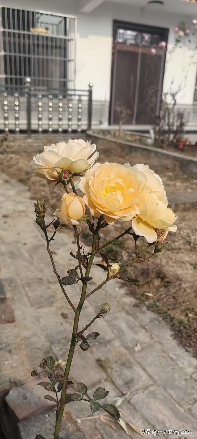 如果一个女人愿意倒贴出轨你的老公，你可以接受老公的出轨吗？