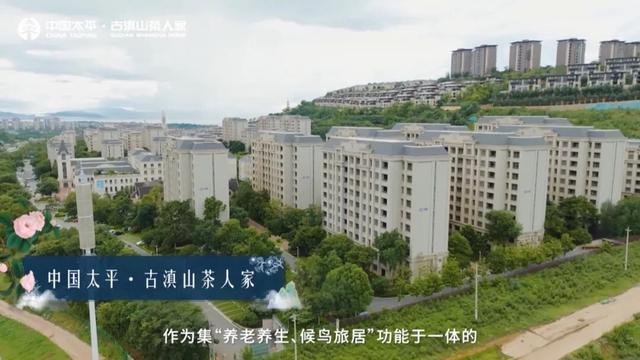 一下飞机，上海阿姨们就被昆明暖到了，除了气候更让她们欣喜的是......