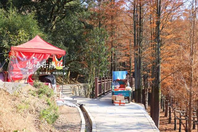 浙江绍兴雪窦岭的水上杉林，被誉为“江南小九寨”，现实却是这样