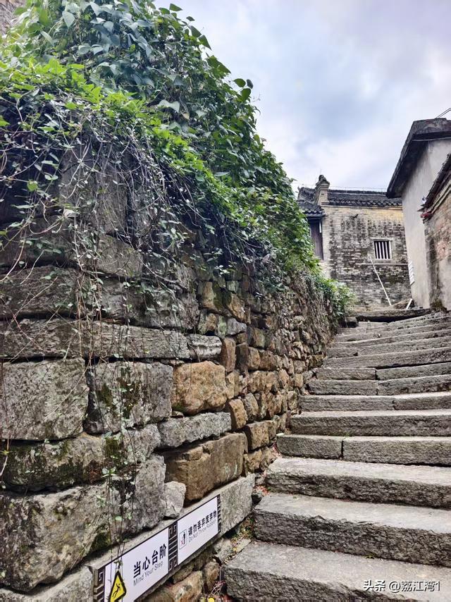 金叶映古村，醉美长岗岭